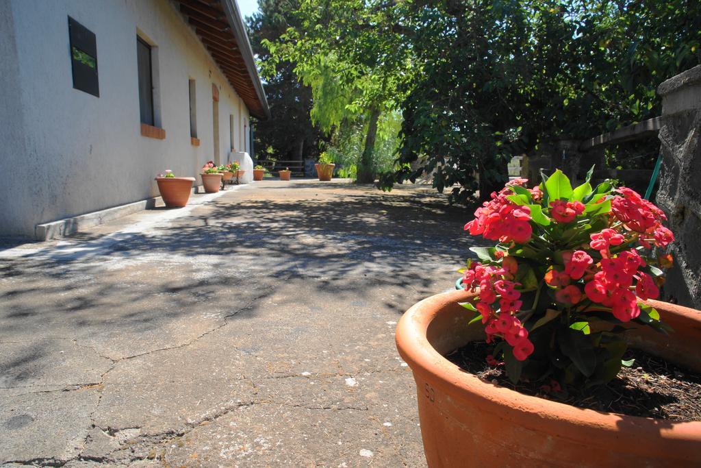 Etna Paradise Locazioni Brevi Villa Ragalna Exterior foto