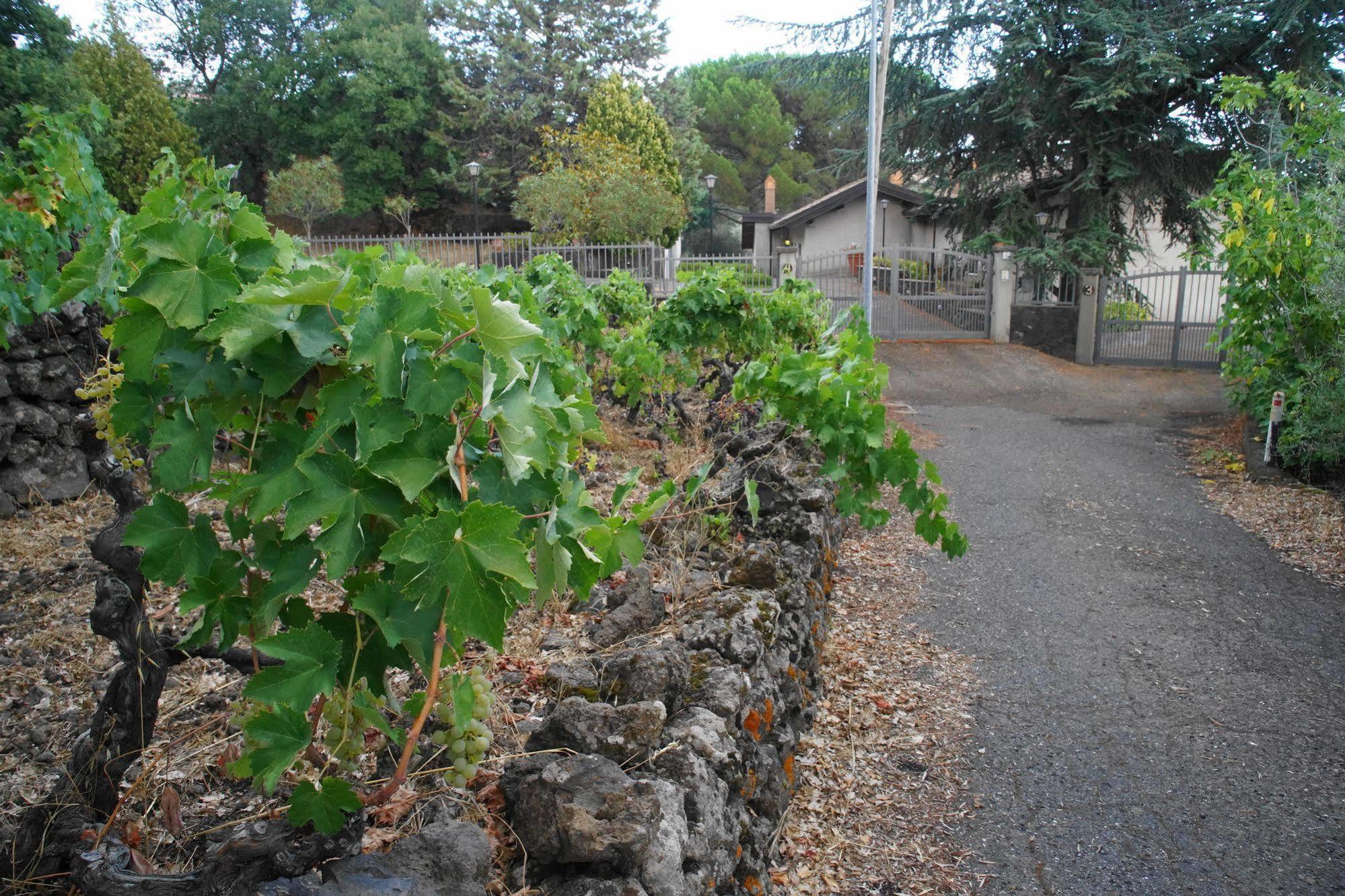 Etna Paradise Locazioni Brevi Villa Ragalna Exterior foto